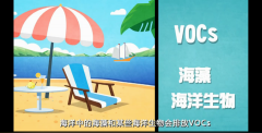 VOCs真的離您很遠(yuǎn)嗎？您真的不需要了解VOC